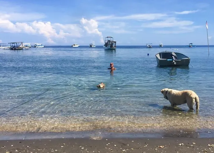 Reef Seen Divers' ペムテラン