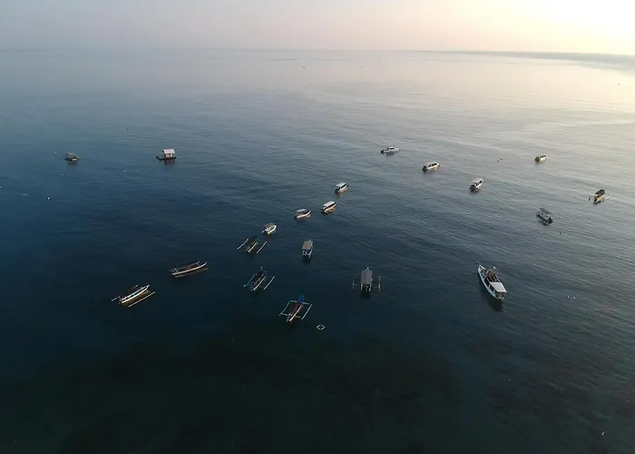 Reef Seen Divers'